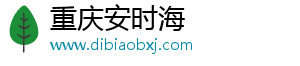 重庆安时海电子商务有限公司